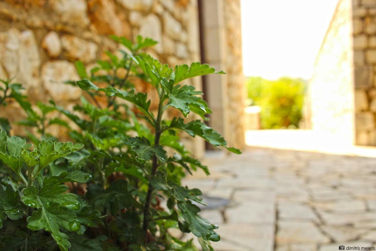 Ilakia Aparthotel Θολό Εξωτερικό φωτογραφία